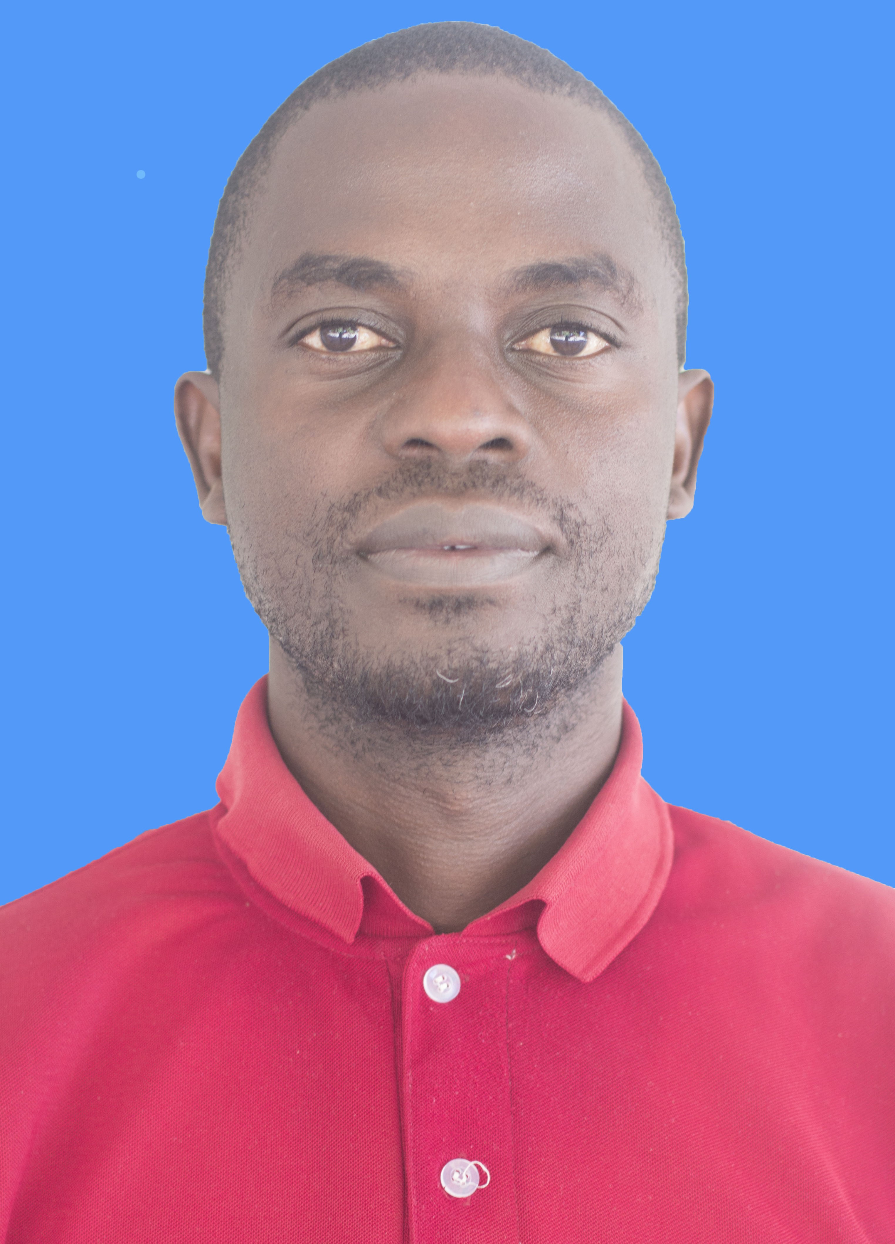 Team Member